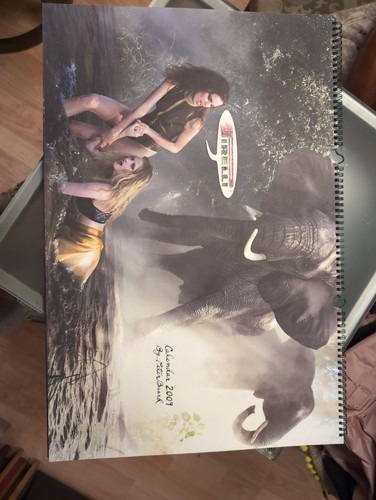 Calendario pirelli 2009 - pirelli,