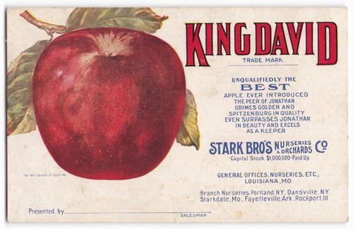 Vintage stark bro nurseries - stark,