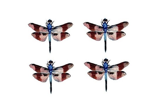 Tatuaggi temporanei set di - -,