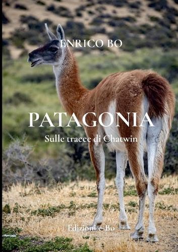 Patagonia sulle tracce - patagonia,