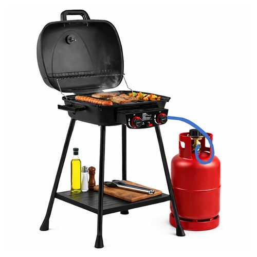 Barbecue gas fuochi - barbecue,