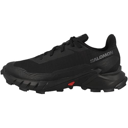 Salomon - 43,