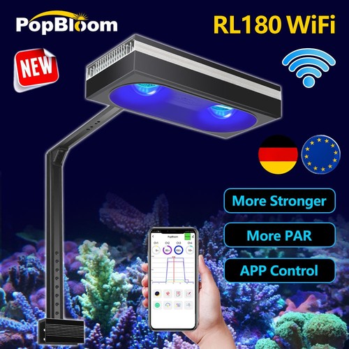 Popbloom rl180 acqua mare - rl180,