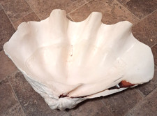 Gigante 22" per 15" originale