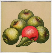 VANNI VIVIANI: Rara Serigrafia cm. 70x50 Firmata, Numerata, con Timbro. STUPENDA