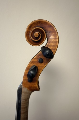 Bellissima viola viola