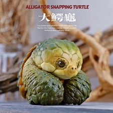 Bowuzhi Alligatore Snapping