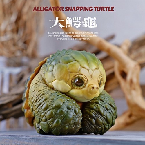 Bowuzhi alligatore snapping - bowuzhi,
