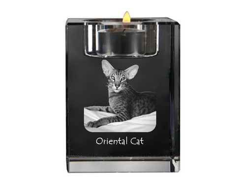 Gatto orientale candelabro - , di