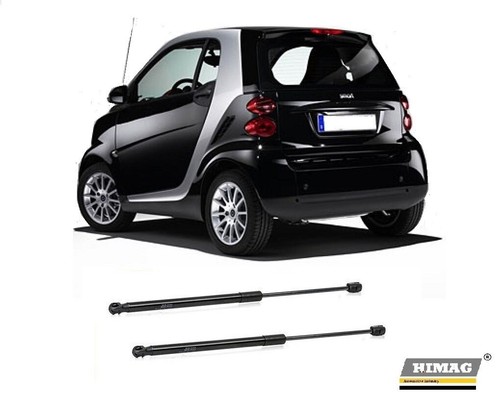 Molle gas pistoncini - a,