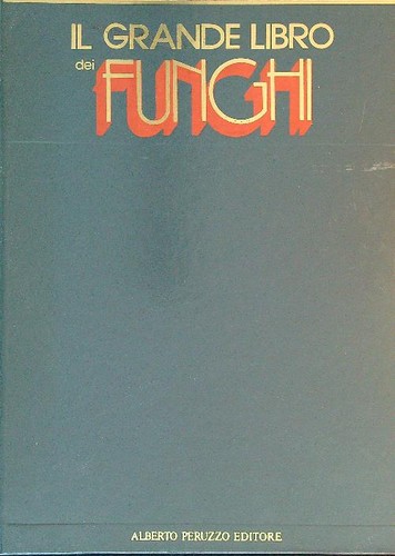 Grande libro dei - il,