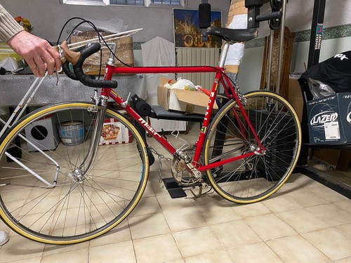 Bicicletta corsa francesco - bicicletta,