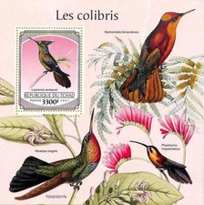 A8749 - CIAD - ERRORE ERRORE ERRORE ERRORE FOGLIO FRANCOBOLLI - 2021 UCCELLINI DI PREDA COLIBRI