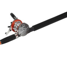 QUANTUM BILL DANCE EDIZIONE