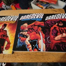 Daredevil Visionaries Frank