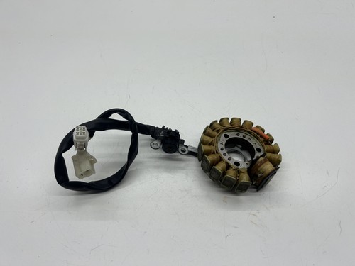 Statore alternatore magnete - statore,