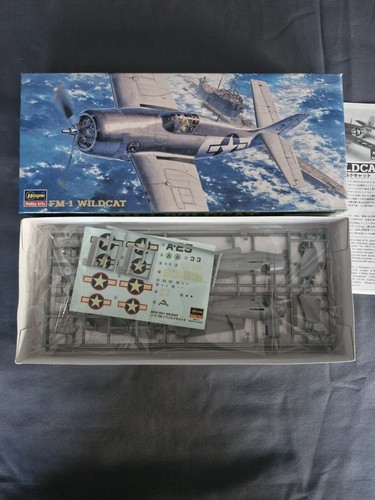 Wildcat hasegawa 1 - fm-1,