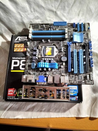Scheda madre asus - scheda,