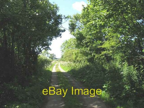Photo 6x4 lane - photo, crochan