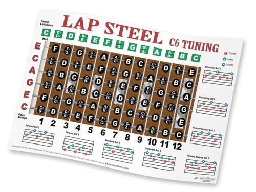 Lap steel guitar fretboard - lap,