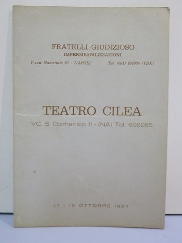 Opuscolo narcisi albergo - opuscolo, i