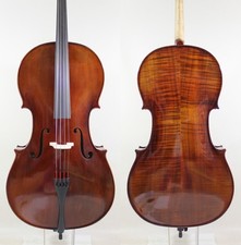 Sorprendentemente Eccezionale