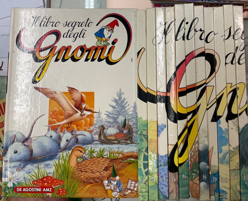 Libro segreto degli gnomi - libro,