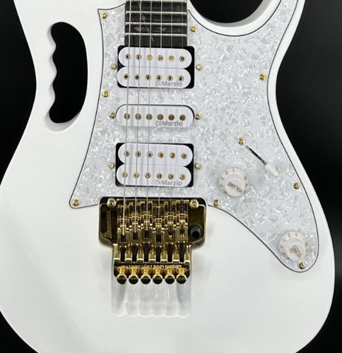 Chitarra elettrica firmata