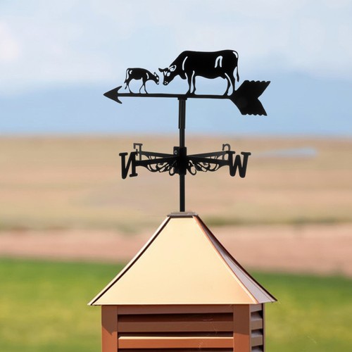 Indicatore direzione del - ,