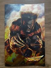 ULTIMATE WOLVERINE 1 VARIANT  COVER DI LEE BERMEJO PANINI COMICS MARVEL