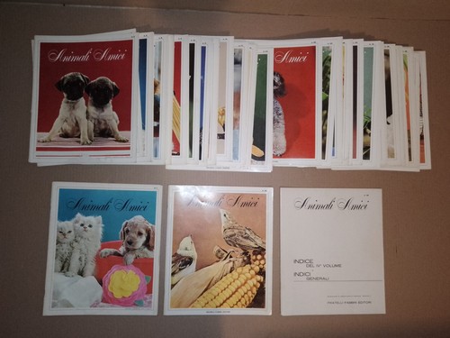 Animali amici raccolta - amici,