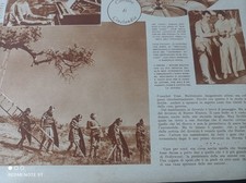 Buster Keaton Genova