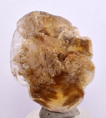 Moneta dollaro selenite - moneta,