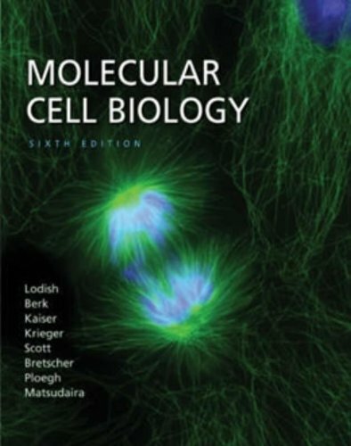 Molecular cell biology - cell, by