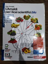 L'amaldi Per I Licei