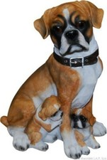 CAGNOLINO CON CUCCIOLI CANE