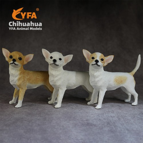 Jjm simpatico chihuahua cane - jjm,