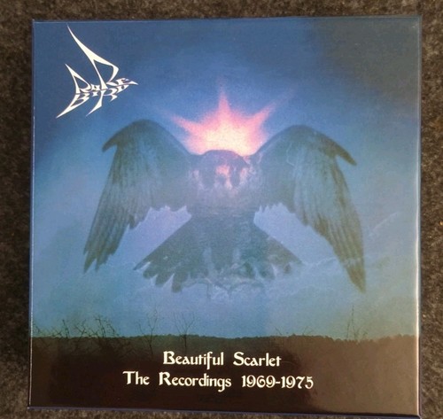 Rare bird beautiful - rare,