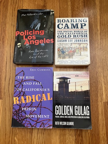 Policing los angeles race - policing,