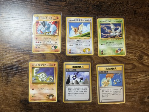Pokemon eroi palestra - pokemon,