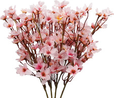 4 Fiori Di Ciliegio