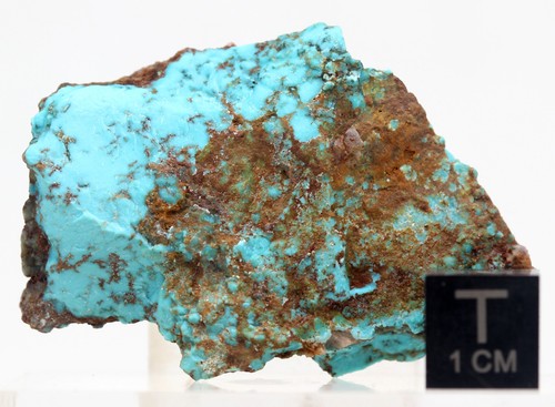 Esemplare turchese grezzo - turchese,