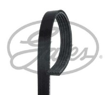 Cinghia trapezoidale originale