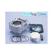 Kit Gruppo Termico Polini