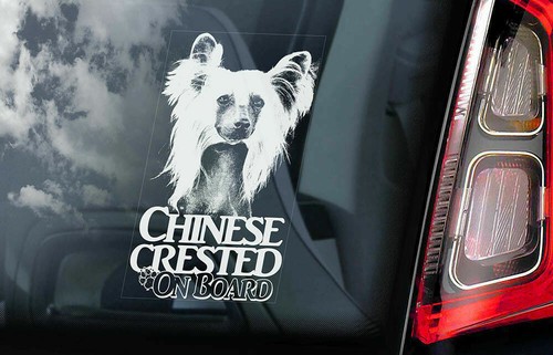 Adesivo auto cane crestato