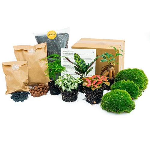 Set terrario per piante - , 5