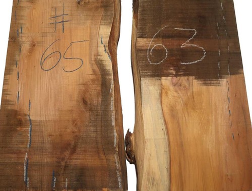 Tasso legno di - 1,