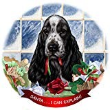 English cocker blue - roan, dog
