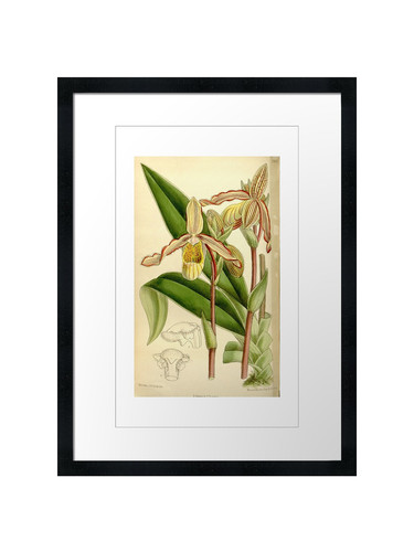 Quadro stampa poster arte