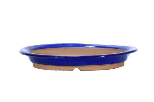 Vaso bonsai ovale - , blu